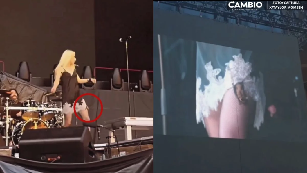 Taylor Momsen de Pretty Reckless fue mordida por murciélago en un show